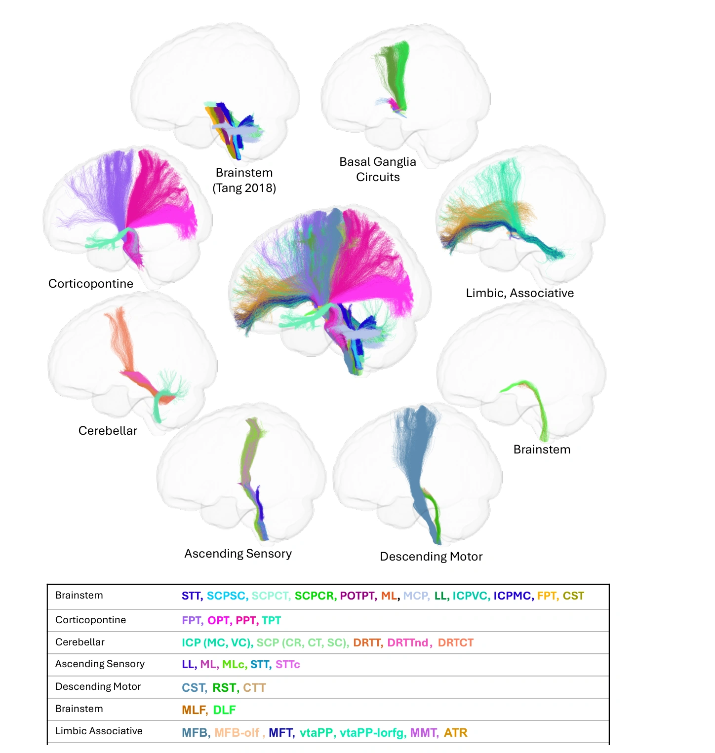Representative brainstem and subcortical pathways used to construct the BundleParc reference labels.