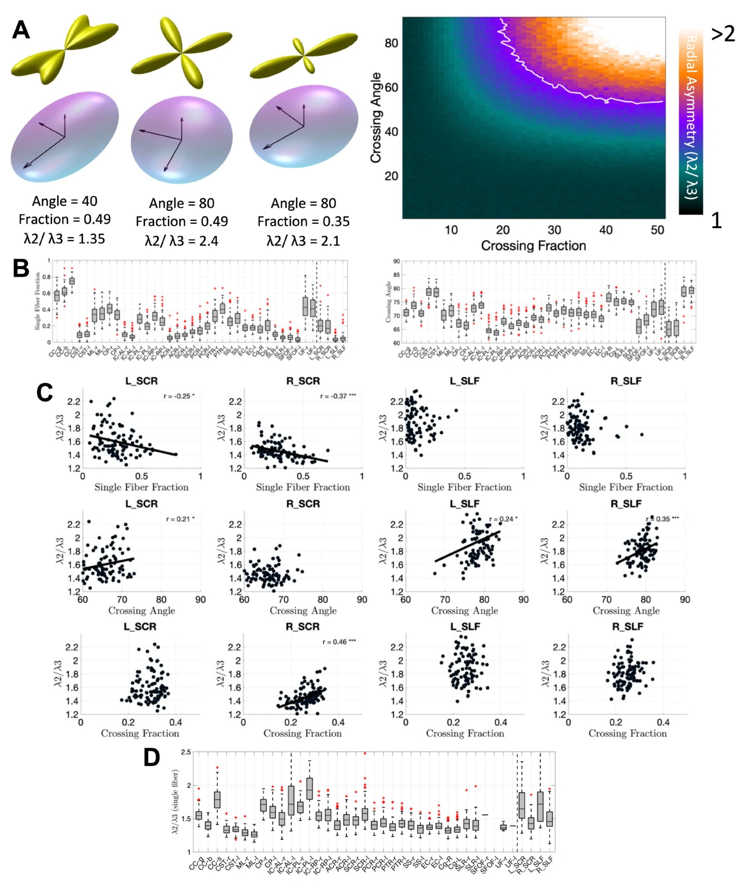 Crossing fibers contribute to radial diffusion asymmetry, a geometrical confound for DTI-ALPS.