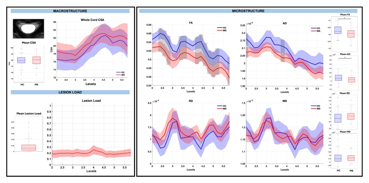 Whole-cord morphometry, lesion load, and diffusion measurements in healthy controls and people with relapsing-remitting MS.