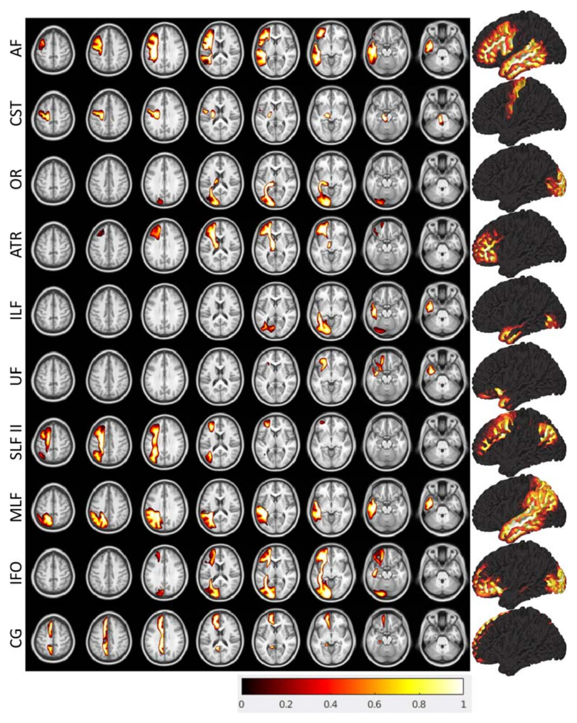 Example white matter pathways represented in Pandora volumetric and surface atlases.