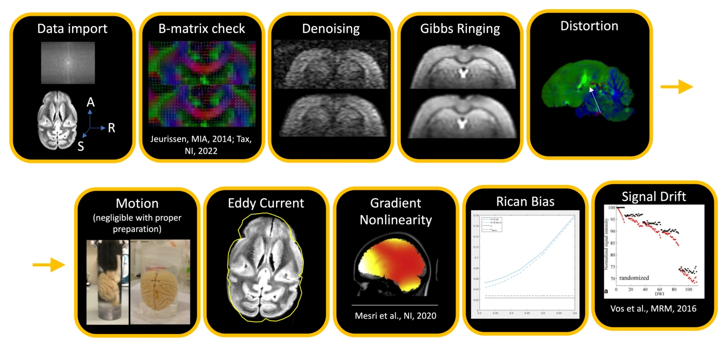 Examples of artifacts addressed by preprocessing ex vivo diffusion MRI data.