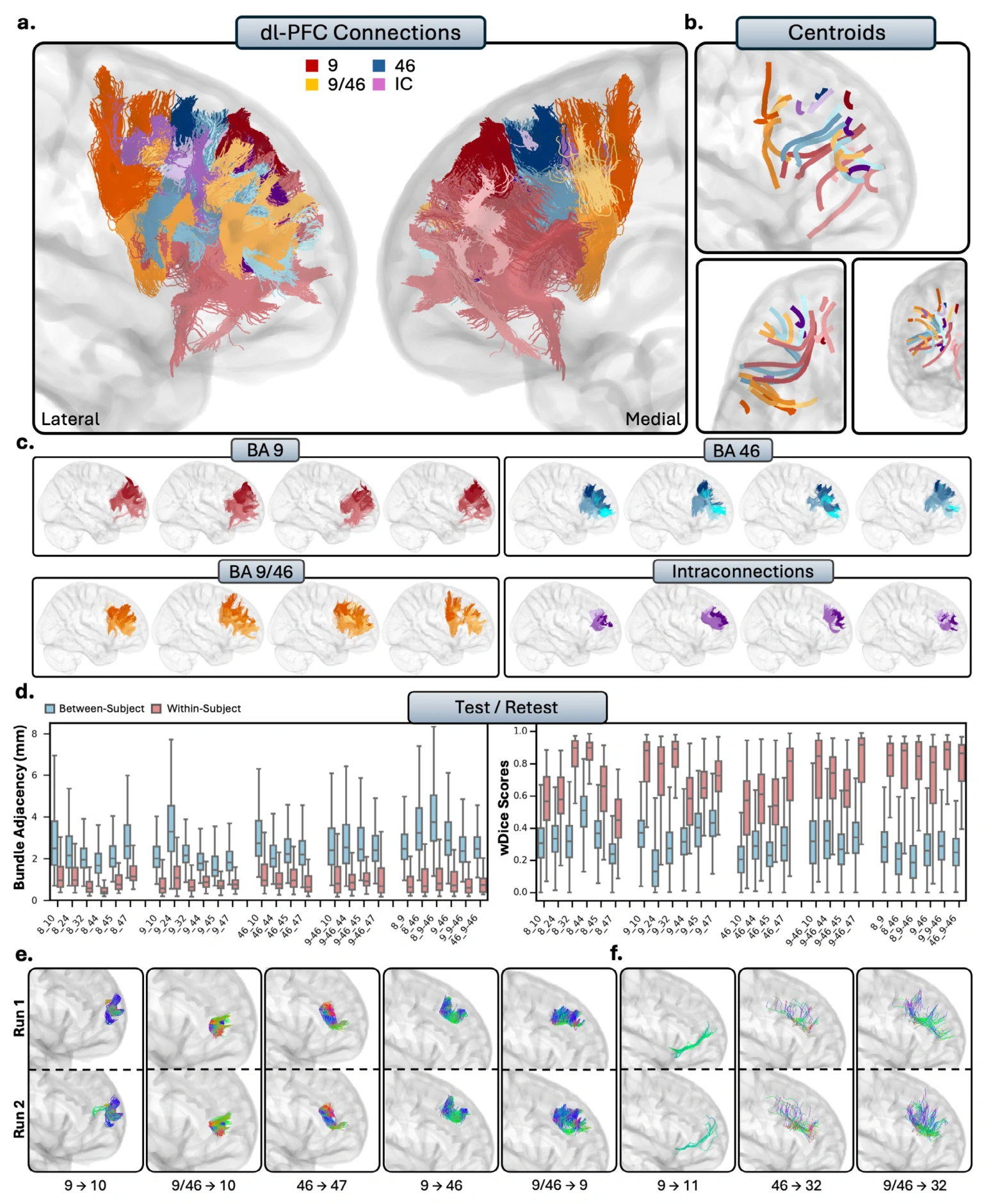 Short-range dorsolateral prefrontal pathways reconstructed with guidance from primate tract-tracing evidence.