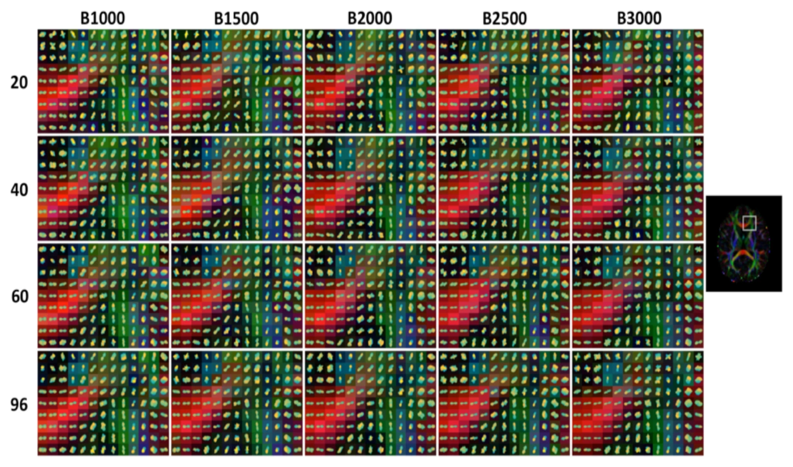 Q-ball diffusion orientation estimates across diffusion weightings and gradient-direction counts.