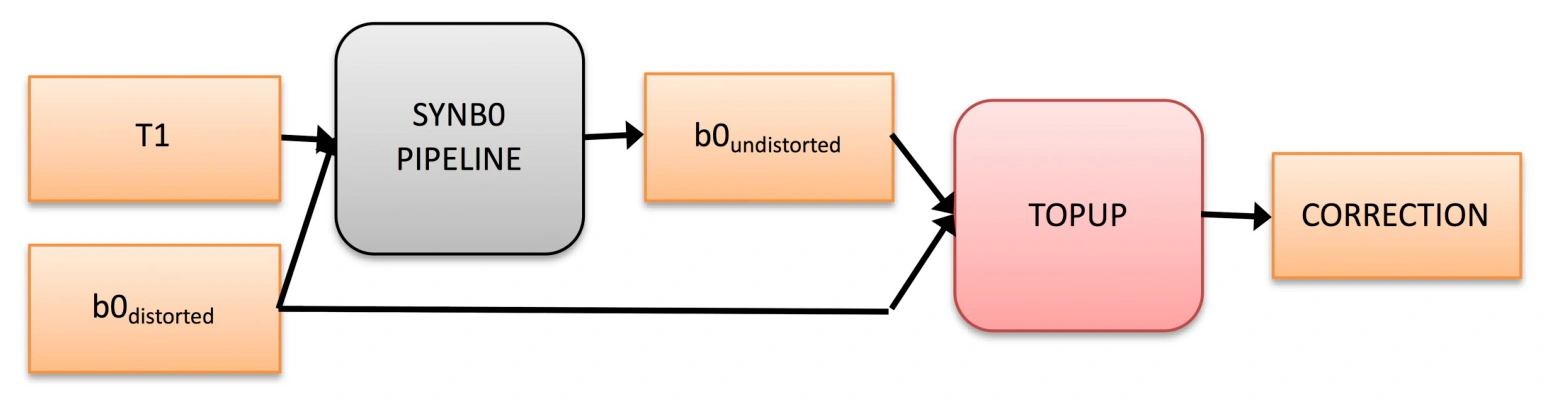 Deep learning synthesizes an undistorted b0 image from a distorted b0 and an anatomical T1 image.