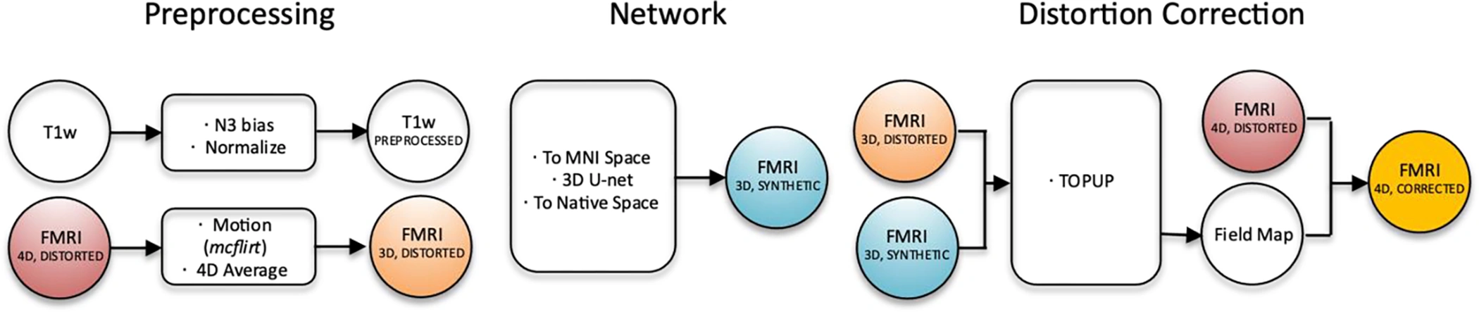 SynBOLD-DisCo synthesizes an undistorted BOLD reference to correct functional MRI geometry.