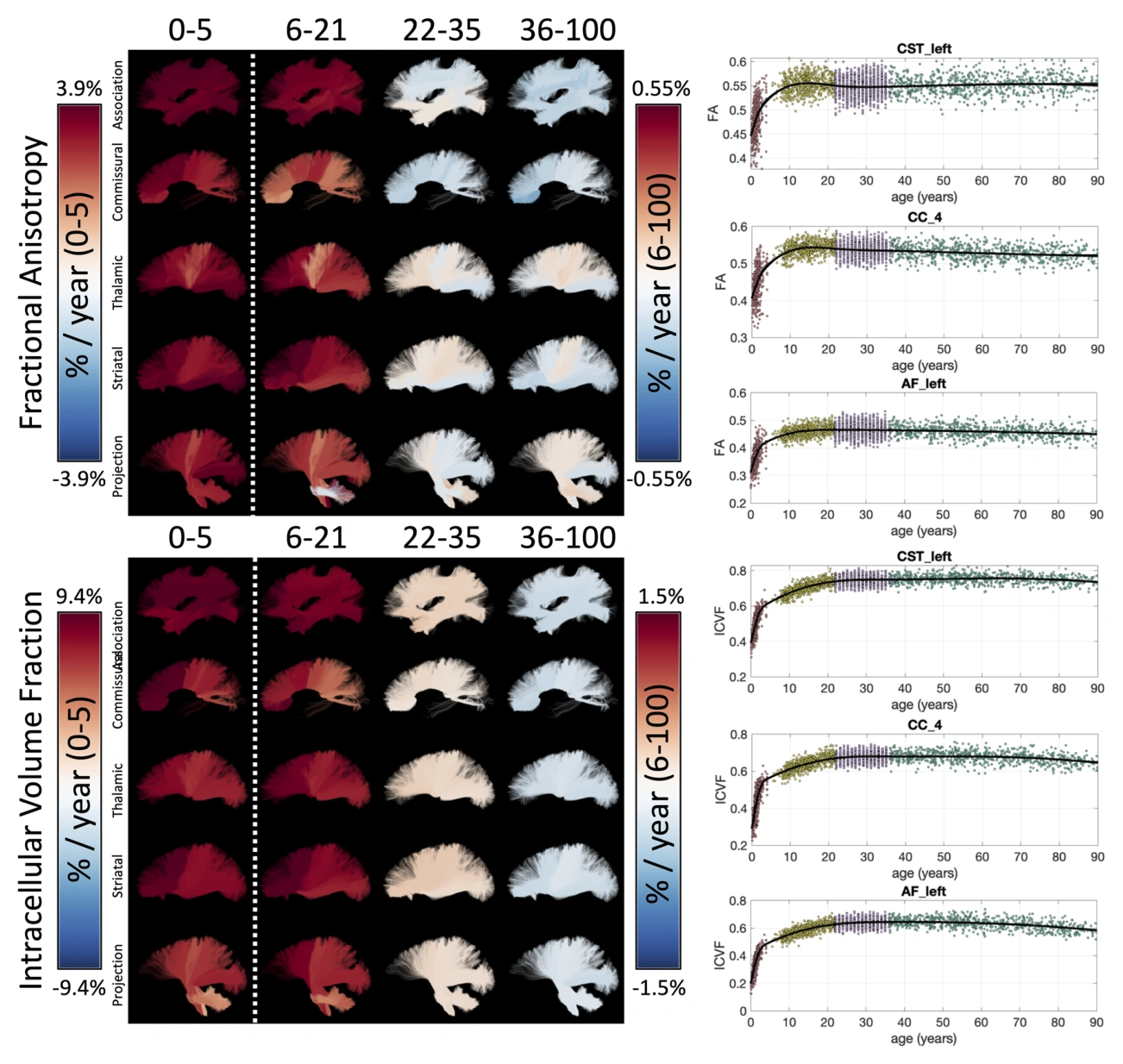 Tract-specific lifespan trajectories of fractional anisotropy and intracellular volume fraction.